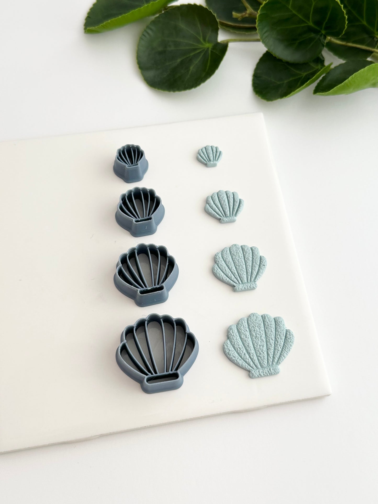 Clam Shell | Polymer Clay Cutter