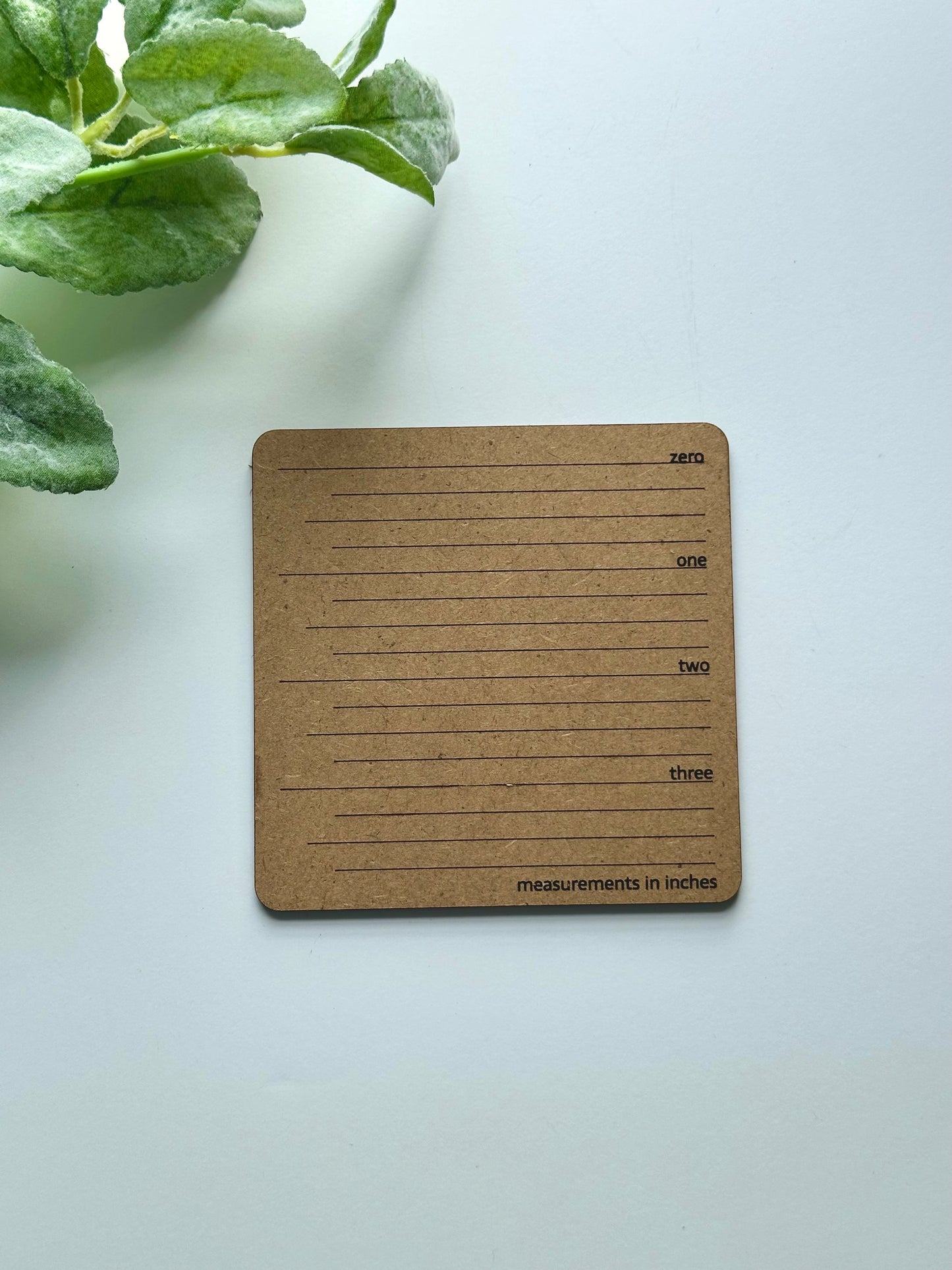 Product Ruler Display Plates