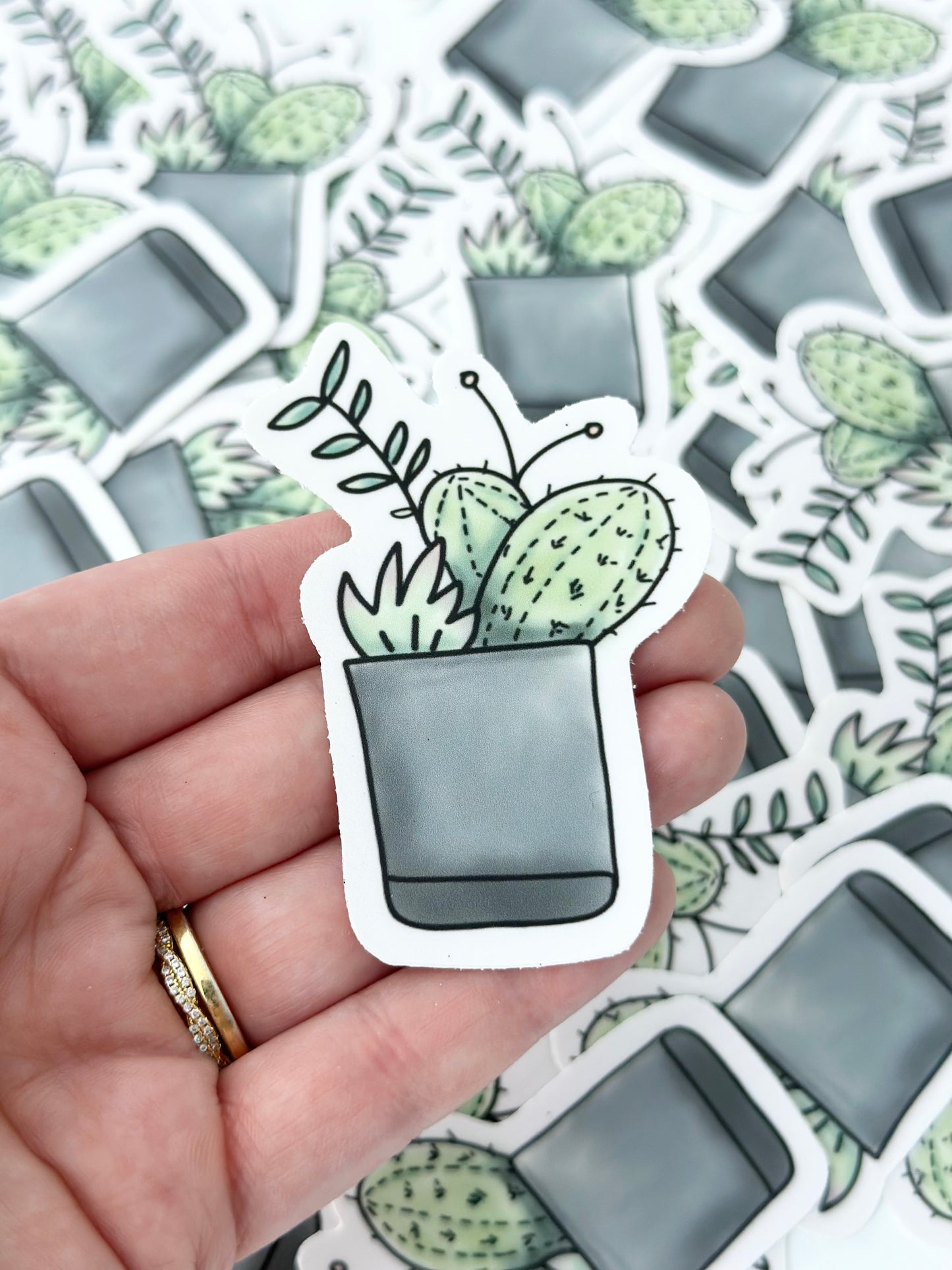 Mixed Cacti | Sticker