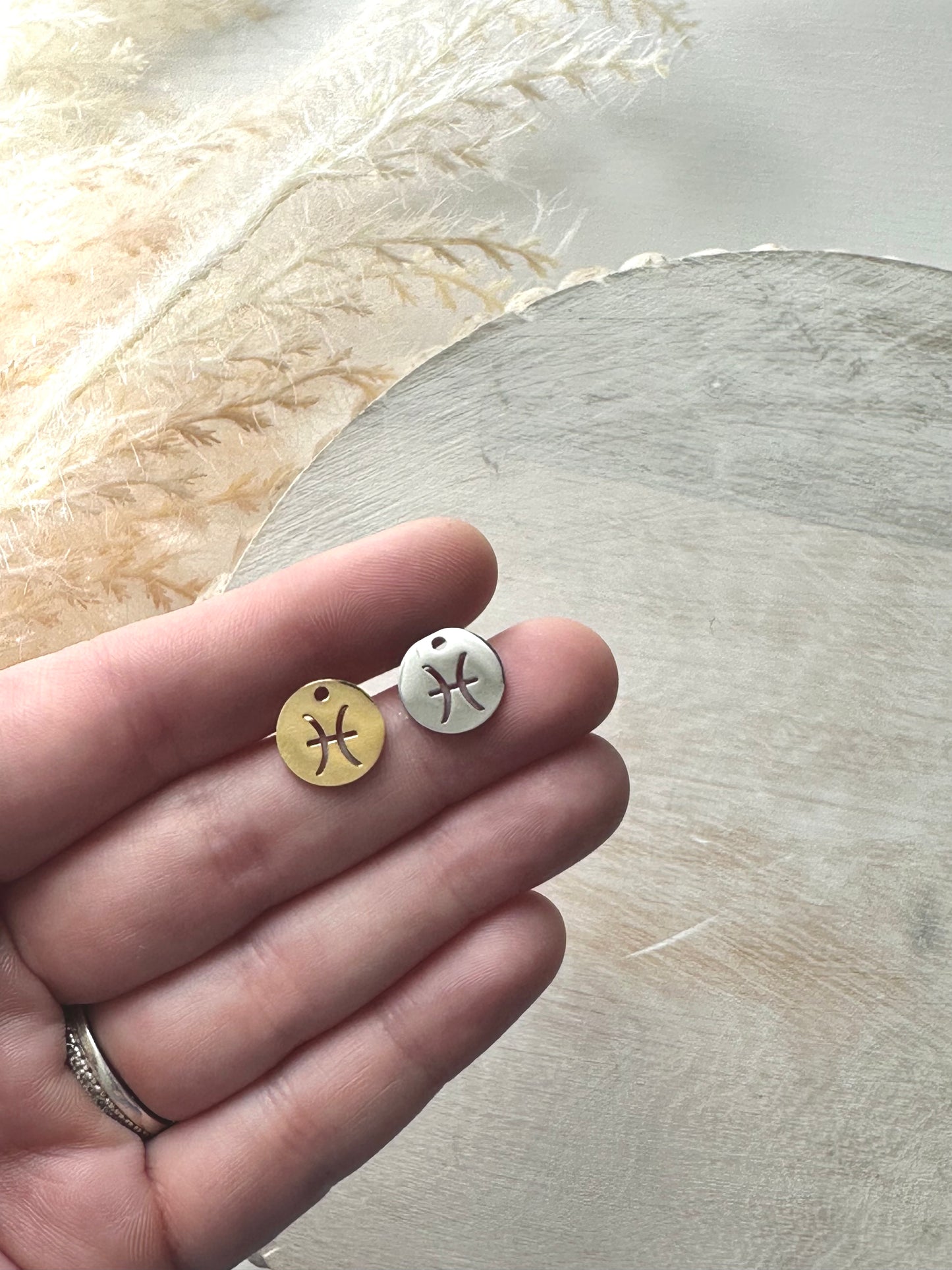 Pisces | Zodiac Charm