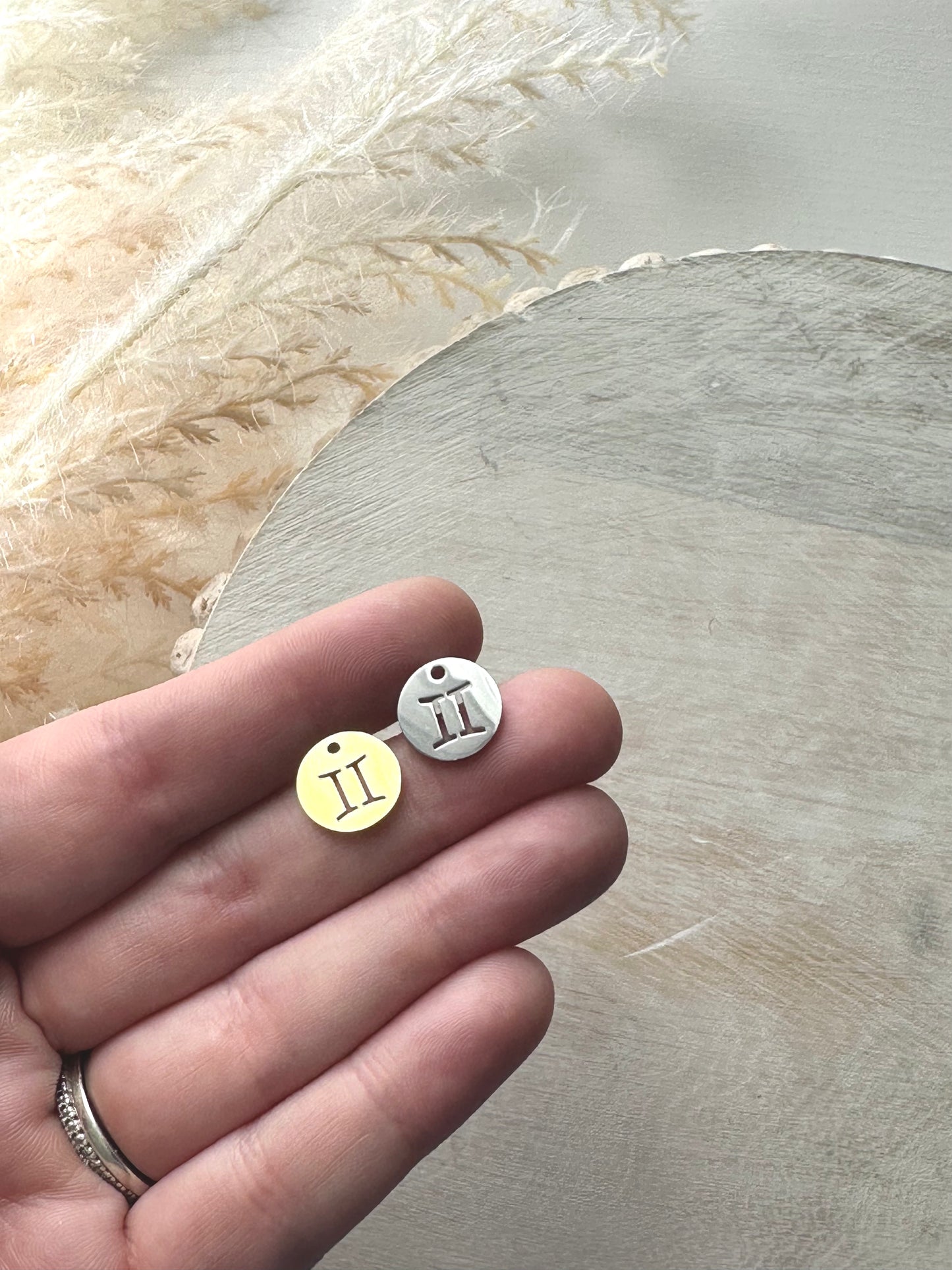 Gemini | Zodiac Charm