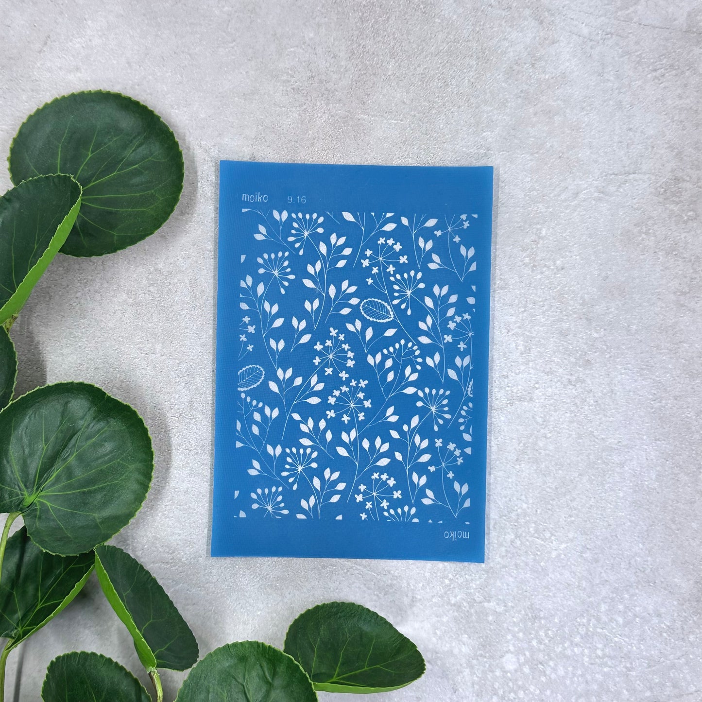 Dandelion Silk Screen