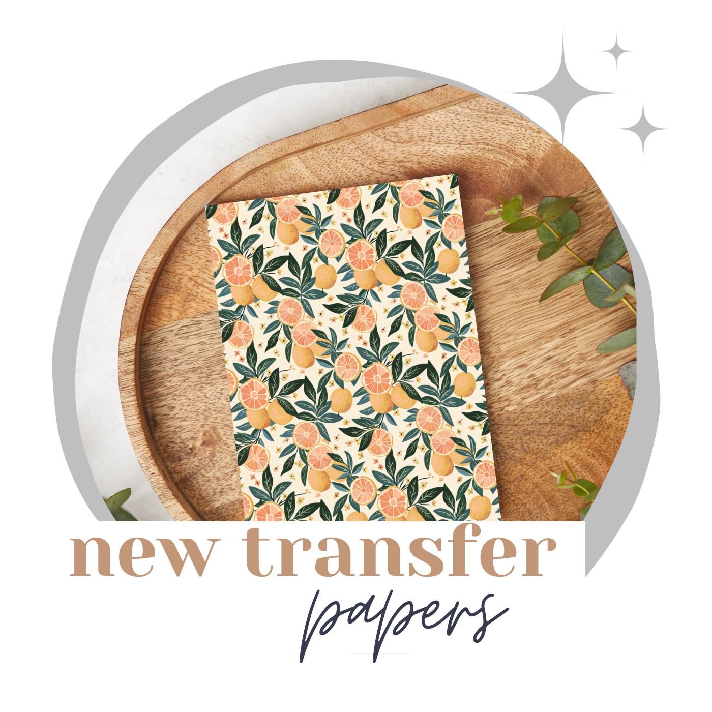 January 2025 - Transfer Papers – Page 3 – Bloom Mercantile