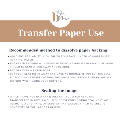 Colorful Popsicles | SU19 | Image Transfer Paper
