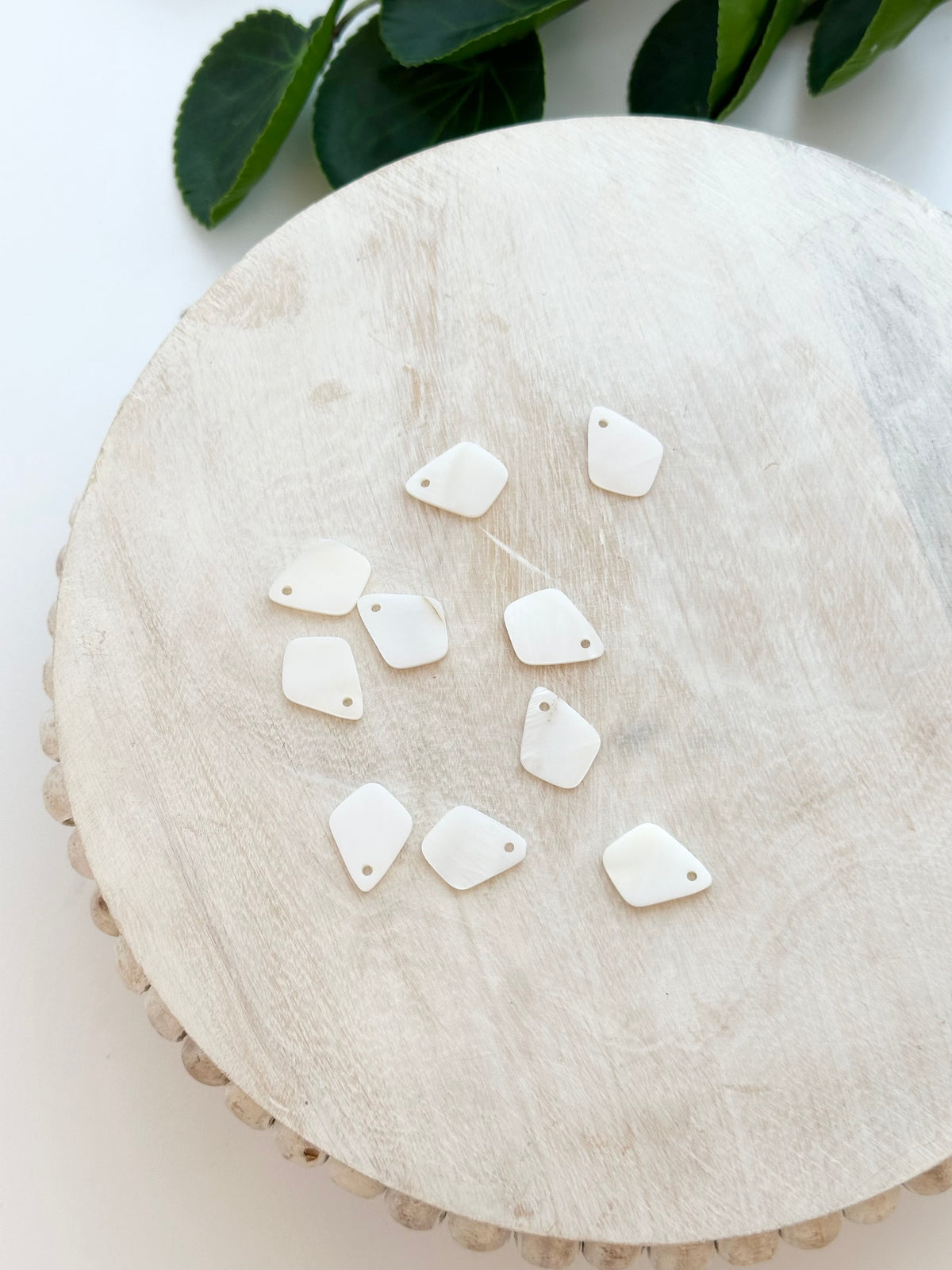 Rhombus Shell Charms - (10pc)