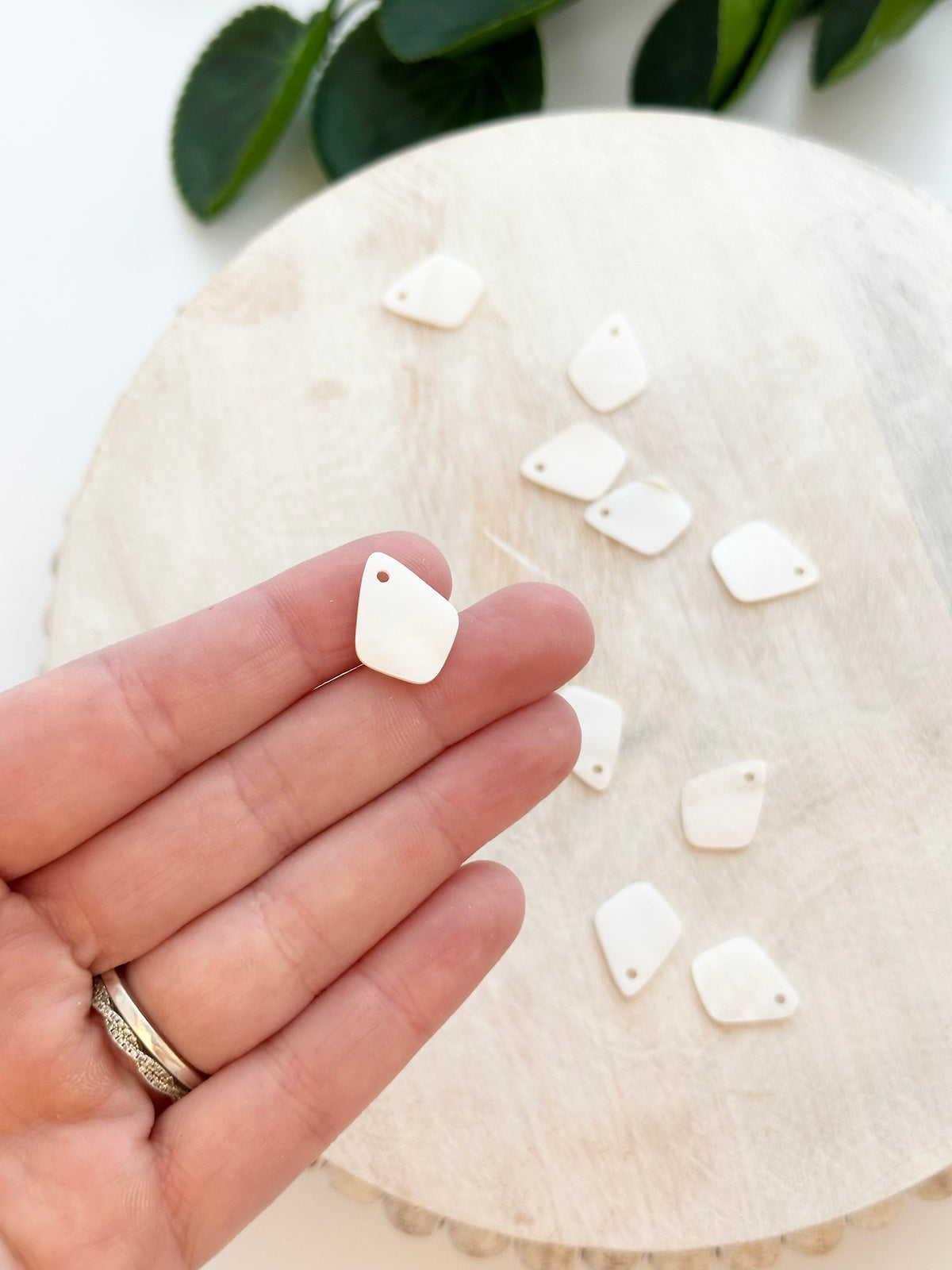 Rhombus Shell Charms - (10pc)
