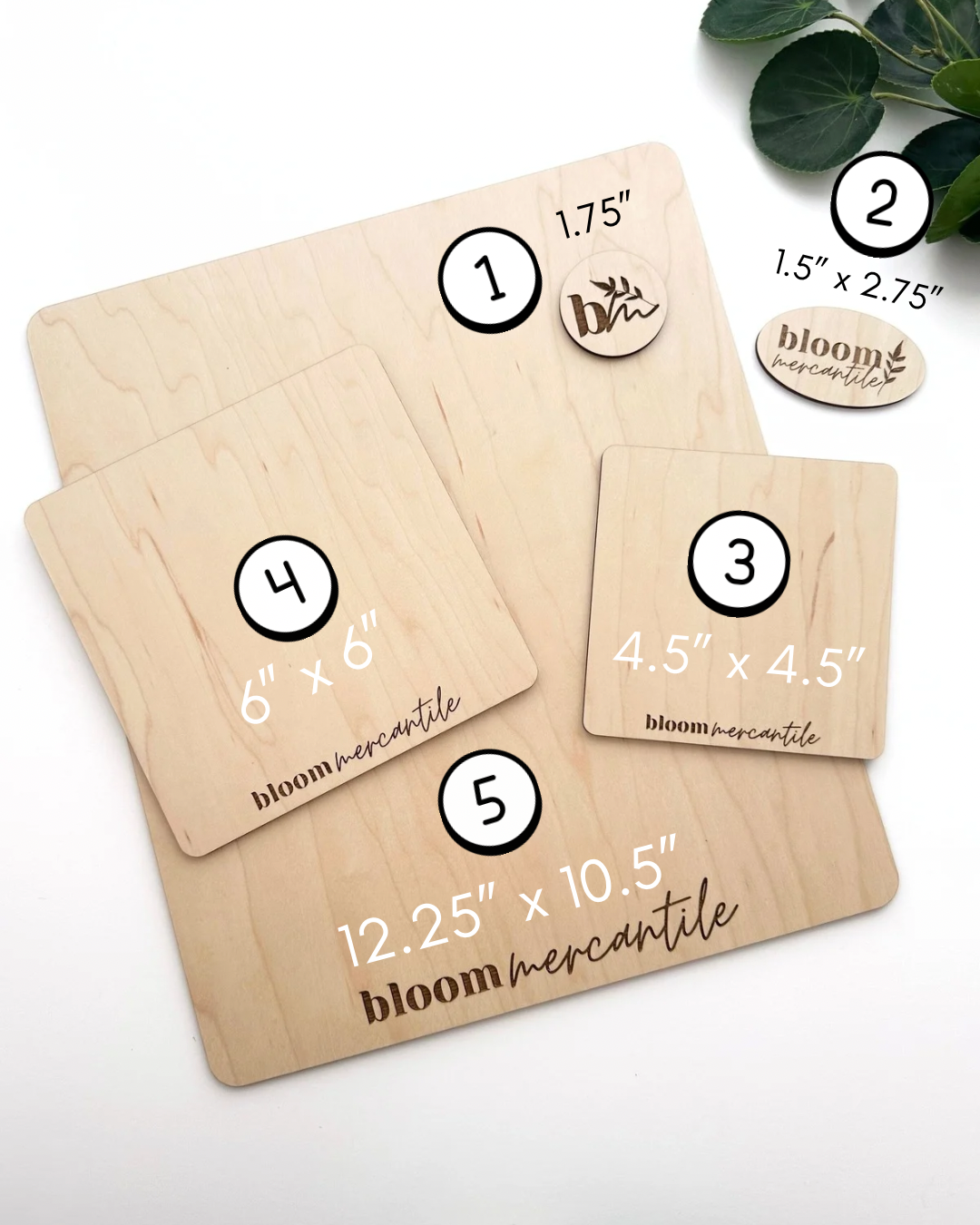 Custom Branded Wood Photo Props | Earring & Jewelry Product Photo Props