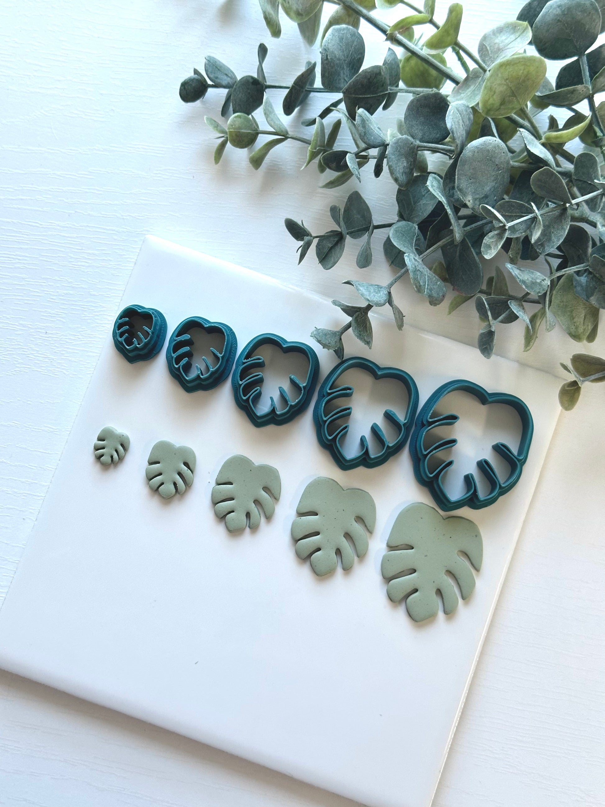 monstera leaf cutter Monstera Leaf